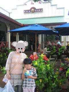 �n���C���R