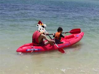 �N�A���A�S