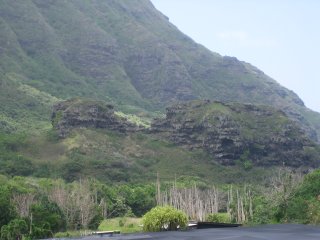 �N�A���A�U