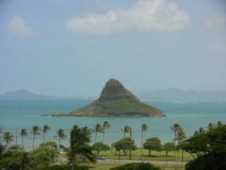 �N�A���A�P�U