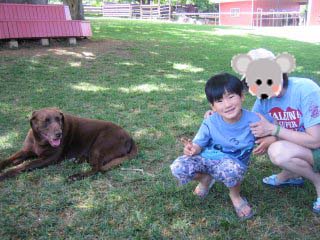 �N�A���A�P�V