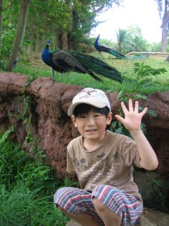 �������R