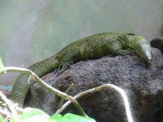 �������S