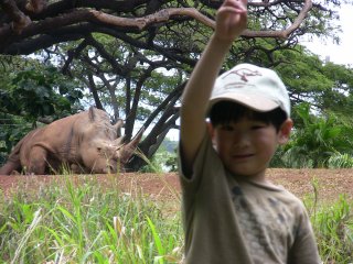 �������T