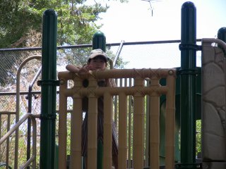 �������T1