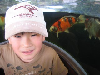 �������U1