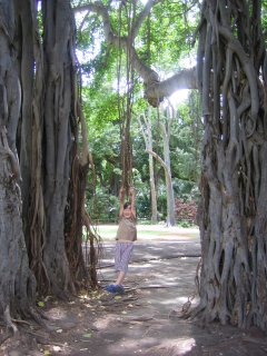 �������W