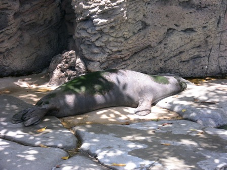 �����قP�O