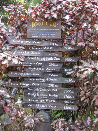 �������Q