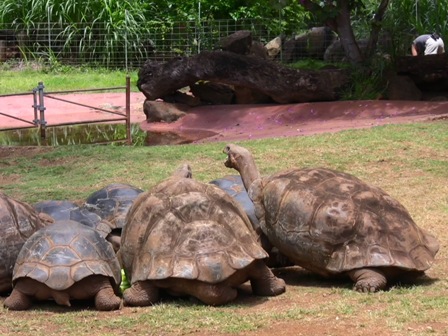 �������R