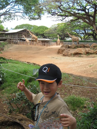 �������S