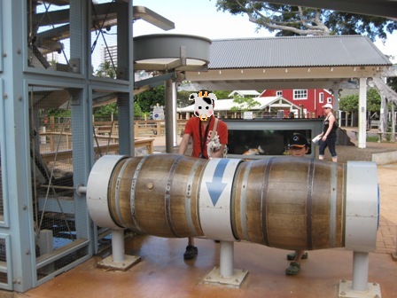 �������U