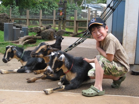 �������V