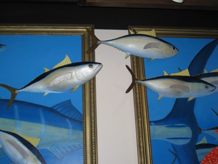 �T���Z�C�Q