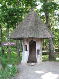 �A�C�k�R�^���R