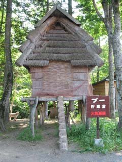 �A�C�k�R�^���S