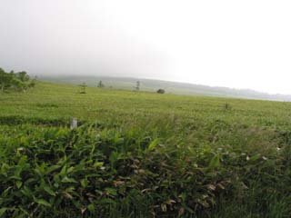 ���y���Q