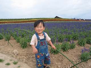 ����̃t�@�[��