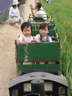 ����̃t�@�[���R