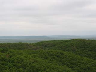 ���H�����P