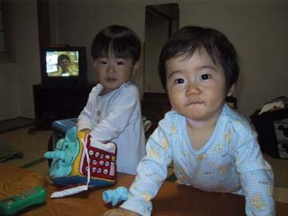 �Ϗ��q�h���{��