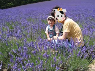 �x�ǖ샏�C���n�E�X�P