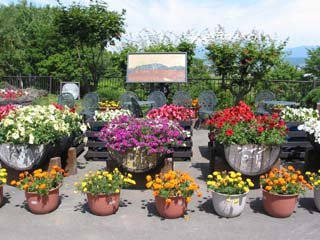 �x�ǖ샏�C���n�E�X�S