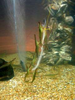 �I�z�[�c�N�^���[�U