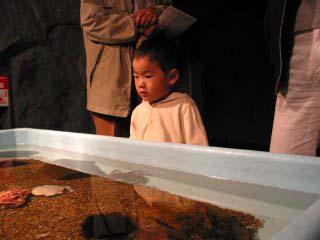 �I�z�[�c�N�^���[�P�O