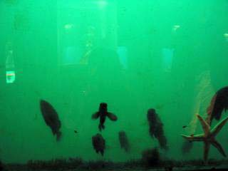 �I�z�[�c�N�^���[�S