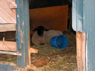 �k�̍�����T