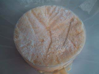 ���݂₰�P�T