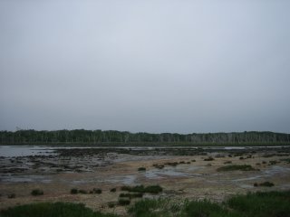 �i������