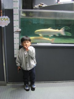 �T�[�����Q