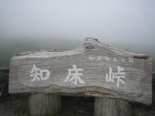 �m�����P