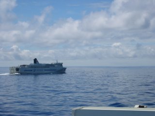 �t�F���[�R