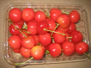 �������ڂP