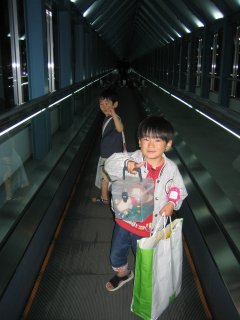 �t�F���[�P