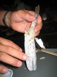 ���ӂ��P�P