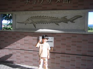 �`���E�U���P