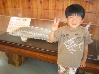 �`���E�U���Q