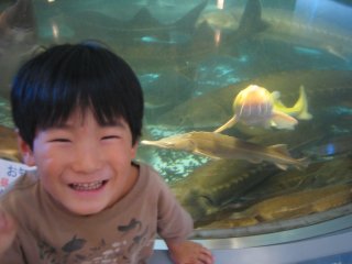 �`���E�U���R