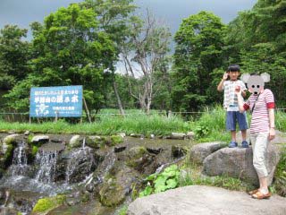 �N�����P