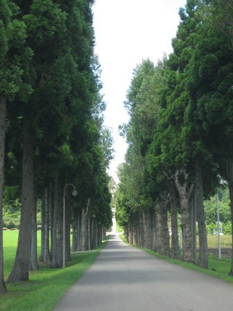 �g���s�X�g�P