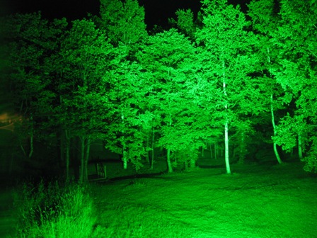 �g�}���P�P