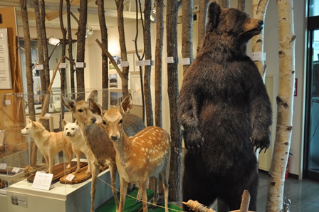 �k�C���P�O