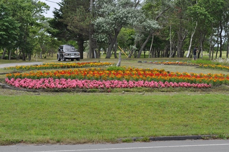 �k�C���P�S