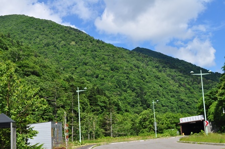 �k�C���P�X