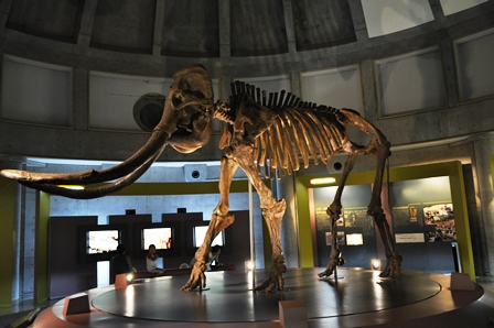 �k�C���R�P