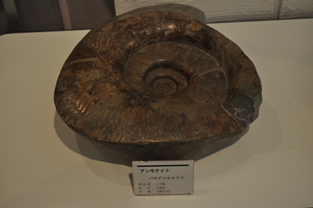 �k�C���R�R